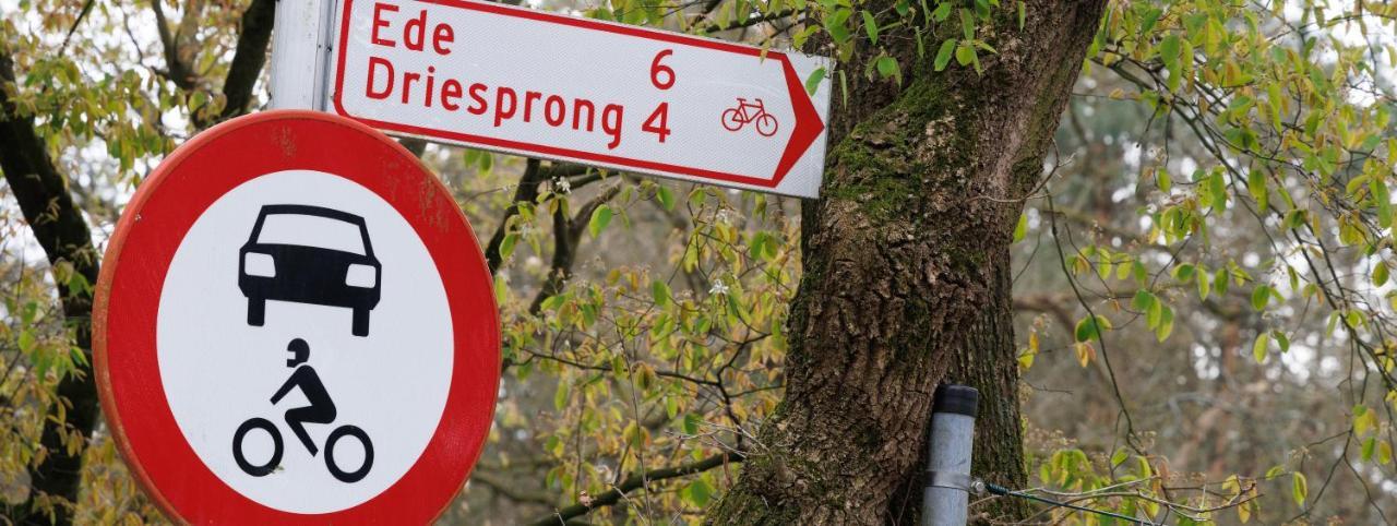 B&B Wicherumloo Wekerom Εξωτερικό φωτογραφία